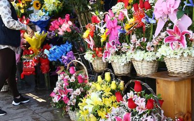 Perúflora 2025 del 24 al 28 de setiembre, la feria más grande de flores